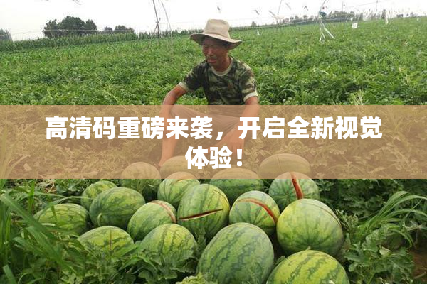 高清码重磅来袭，开启全新视觉体验！