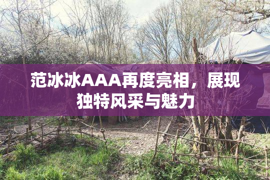 范冰冰AAA再度亮相，展现独特风采与魅力