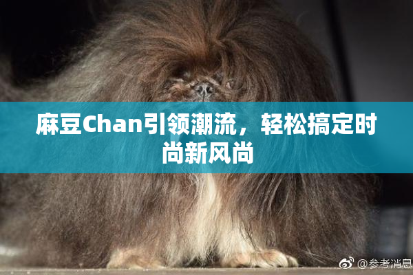 麻豆Chan引领潮流，轻松搞定时尚新风尚