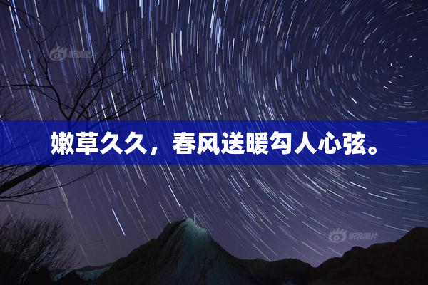 嫩草久久，春风送暖勾人心弦。