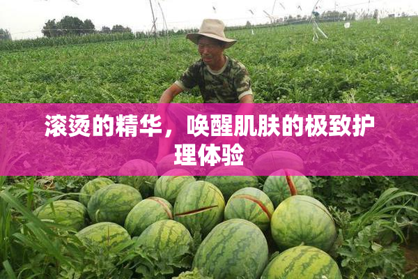 滚烫的精华，唤醒肌肤的极致护理体验
