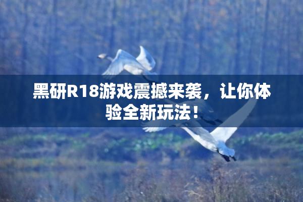 黑研R18游戏震撼来袭，让你体验全新玩法！