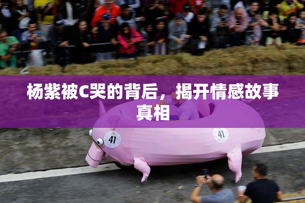 杨紫被C哭的背后，揭开情感故事真相
