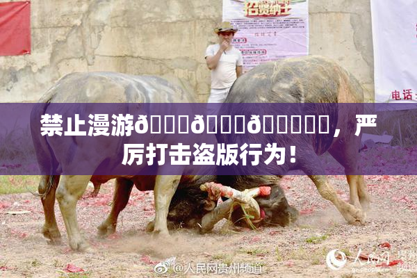 禁止漫游🍆🍑🔞❌‌，严厉打击盗版行为！