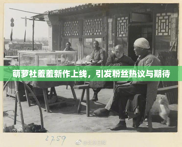 萌萝社羞羞新作上线，引发粉丝热议与期待
