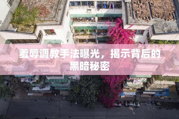 羞辱调教手法曝光，揭示背后的黑暗秘密