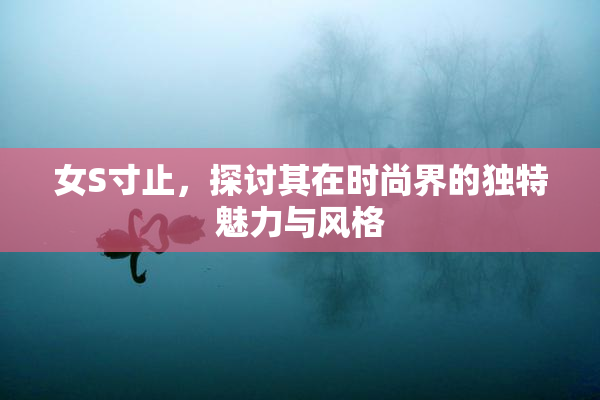 女S寸止，探讨其在时尚界的独特魅力与风格