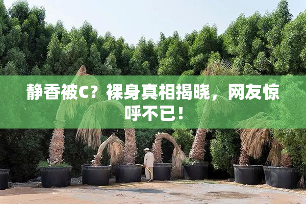 静香被C？裸身真相揭晓，网友惊呼不已！
