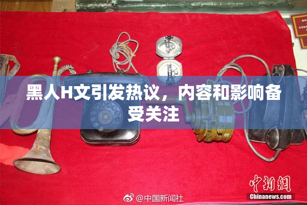 黑人H文引发热议，内容和影响备受关注