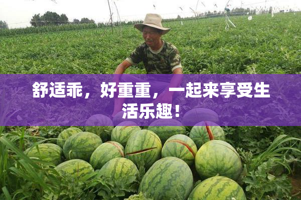 舒适乖，好重重，一起来享受生活乐趣！