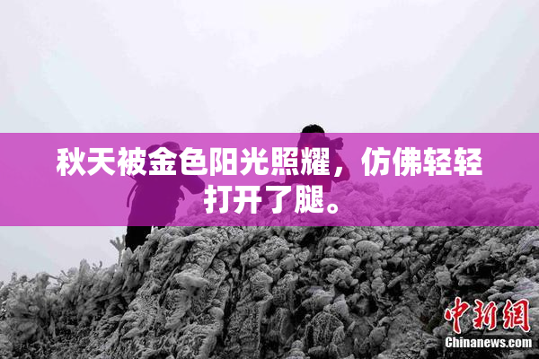 秋天被金色阳光照耀，仿佛轻轻打开了腿。