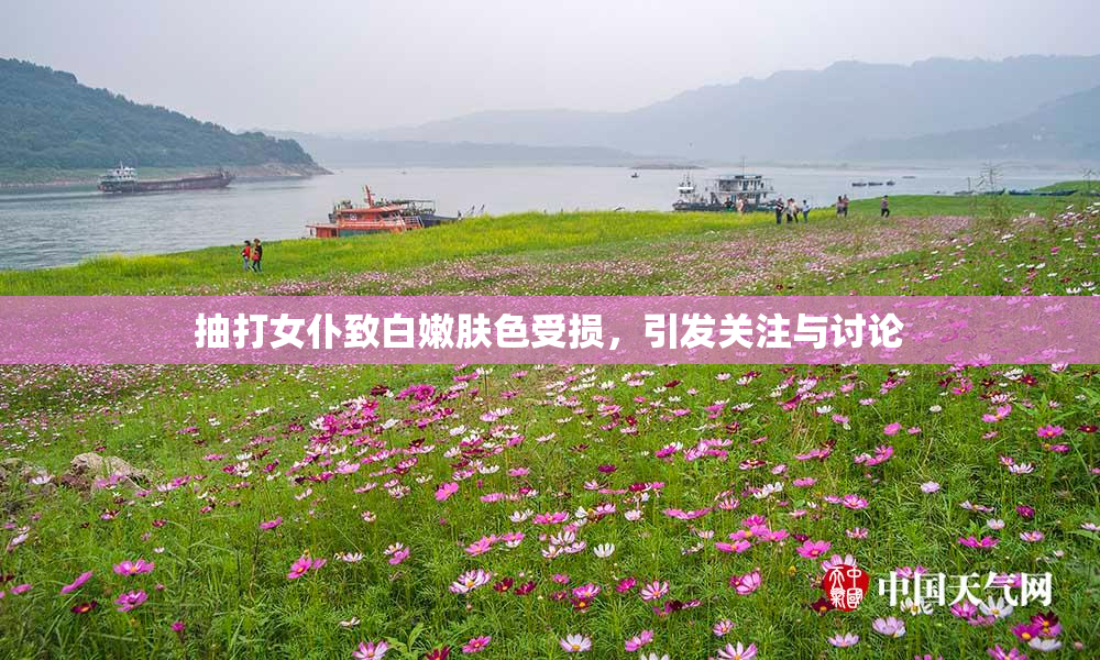 抽打女仆致白嫩肤色受损，引发关注与讨论