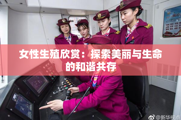 女性生殖欣赏：探索美丽与生命的和谐共存