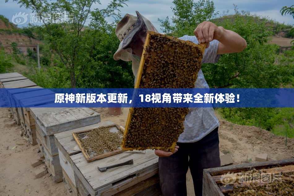 原神新版本更新，18视角带来全新体验！