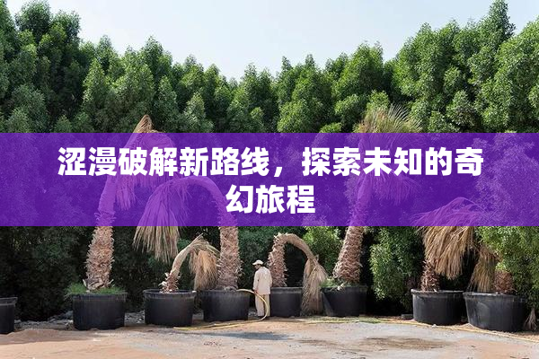 涩漫破解新路线，探索未知的奇幻旅程