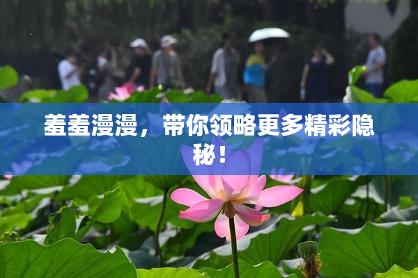 羞羞漫漫，带你领略更多精彩隐秘！