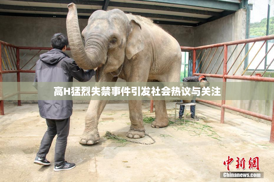 高H猛烈失禁事件引发社会热议与关注