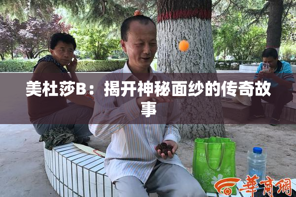 美杜莎B：揭开神秘面纱的传奇故事