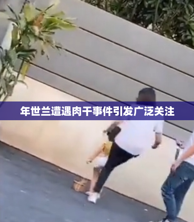 年世兰遭遇肉干事件引发广泛关注