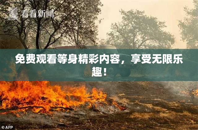 免费观看等身精彩内容，享受无限乐趣！