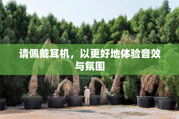 请佩戴耳机，以更好地体验音效与氛围