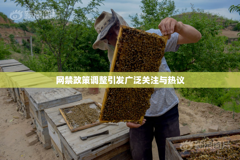 网禁政策调整引发广泛关注与热议
