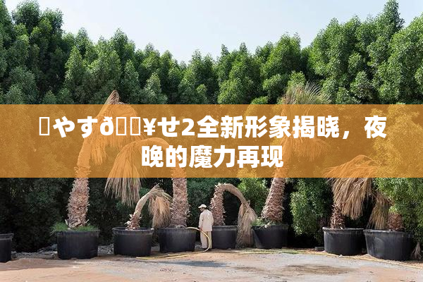 ✿やす🔥せ2全新形象揭晓，夜晚的魔力再现