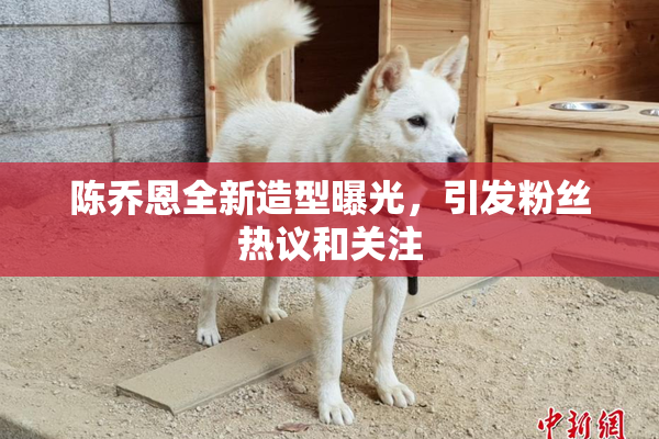 陈乔恩全新造型曝光，引发粉丝热议和关注