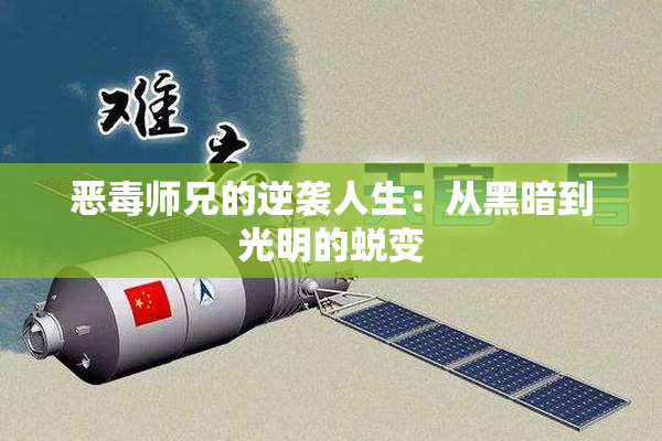 恶毒师兄的逆袭人生：从黑暗到光明的蜕变