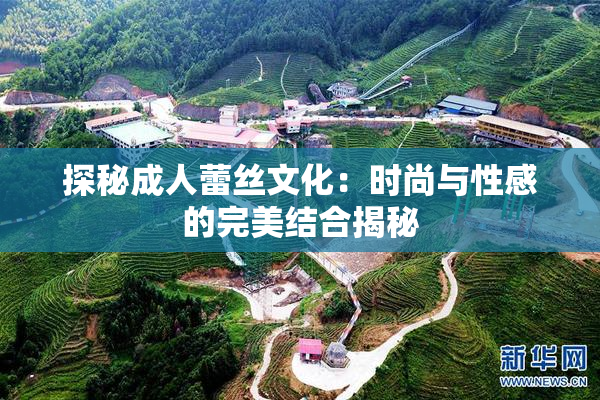 探秘成人蕾丝文化：时尚与性感的完美结合揭秘