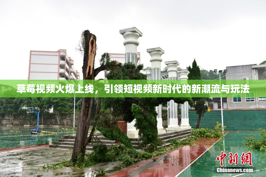 草莓视频火爆上线，引领短视频新时代的新潮流与玩法