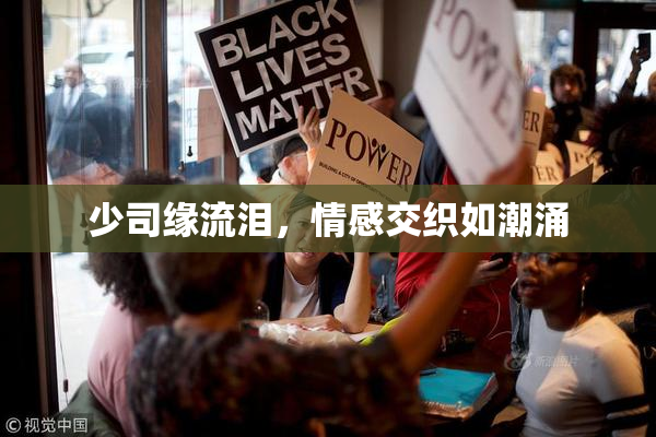 少司缘流泪，情感交织如潮涌