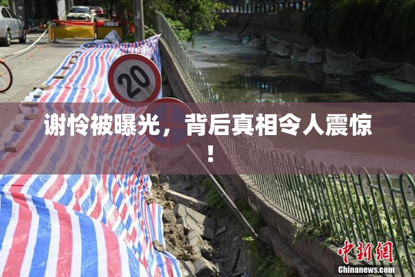 谢怜被曝光，背后真相令人震惊！