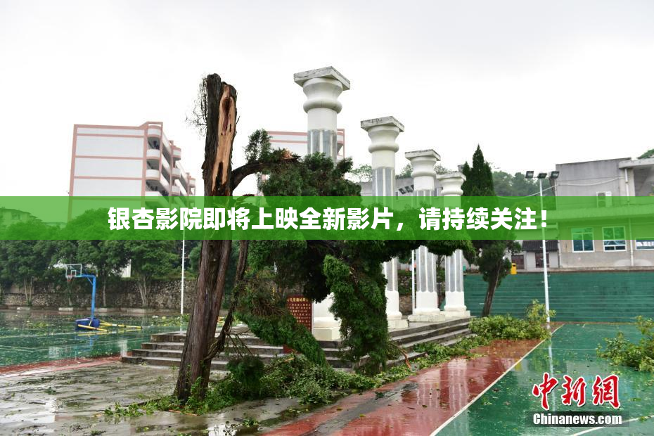 银杏影院即将上映全新影片，请持续关注！