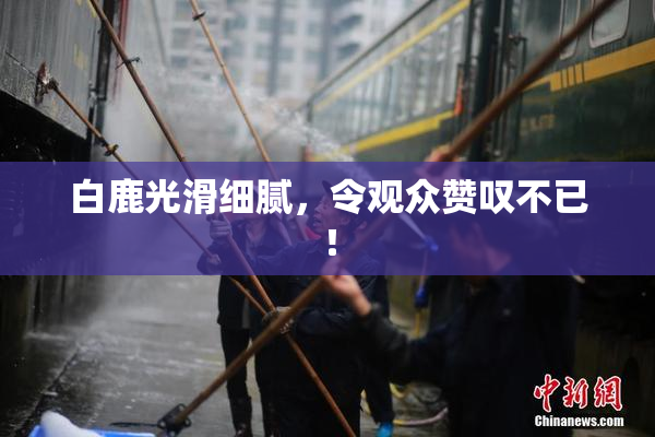 白鹿光滑细腻，令观众赞叹不已！