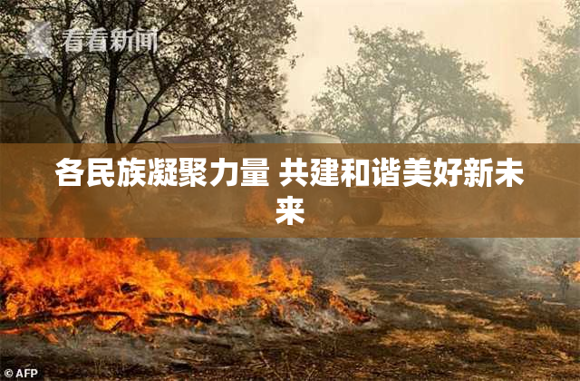 各民族凝聚力量 共建和谐美好新未来