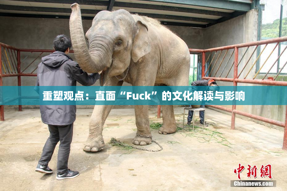 重塑观点：直面“Fuck”的文化解读与影响
