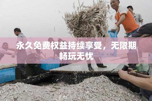 永久免费权益持续享受，无限期畅玩无忧