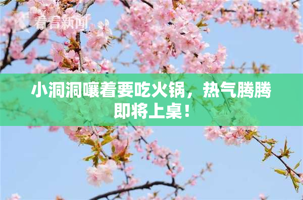 小洞洞嚷着要吃火锅，热气腾腾即将上桌！