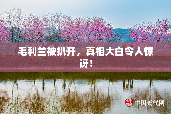 毛利兰被扒开，真相大白令人惊讶！