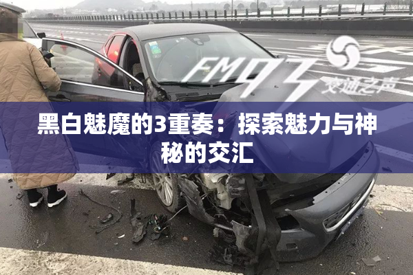 黑白魅魔的3重奏：探索魅力与神秘的交汇