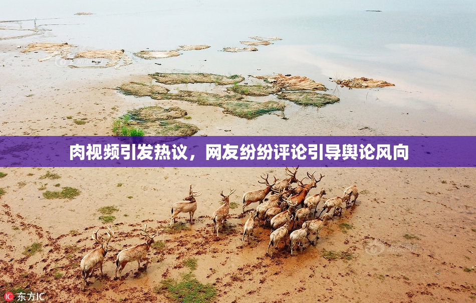 肉视频引发热议，网友纷纷评论引导舆论风向
