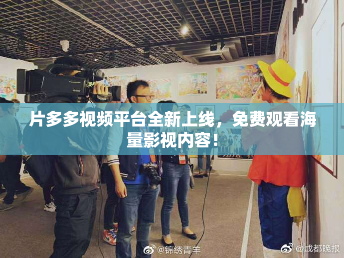 片多多视频平台全新上线，免费观看海量影视内容！
