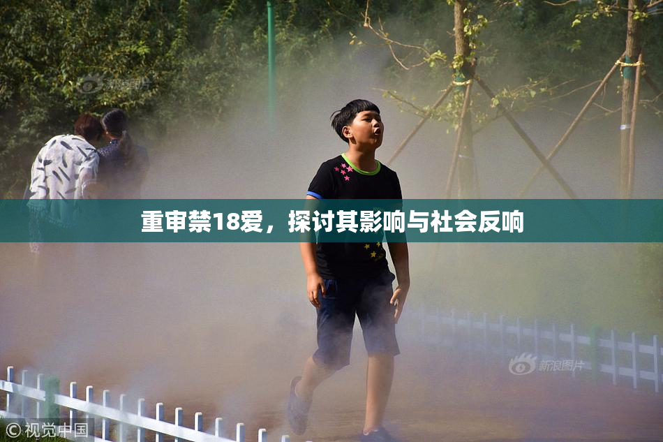 重审禁18爱，探讨其影响与社会反响