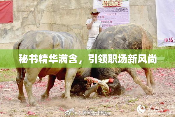 秘书精华满含，引领职场新风尚