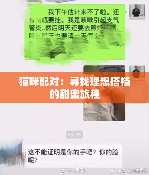 猫咪配对：寻找理想搭档的甜蜜旅程
