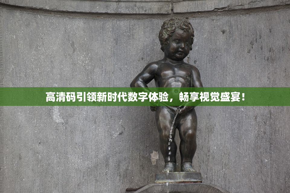 高清码引领新时代数字体验，畅享视觉盛宴！