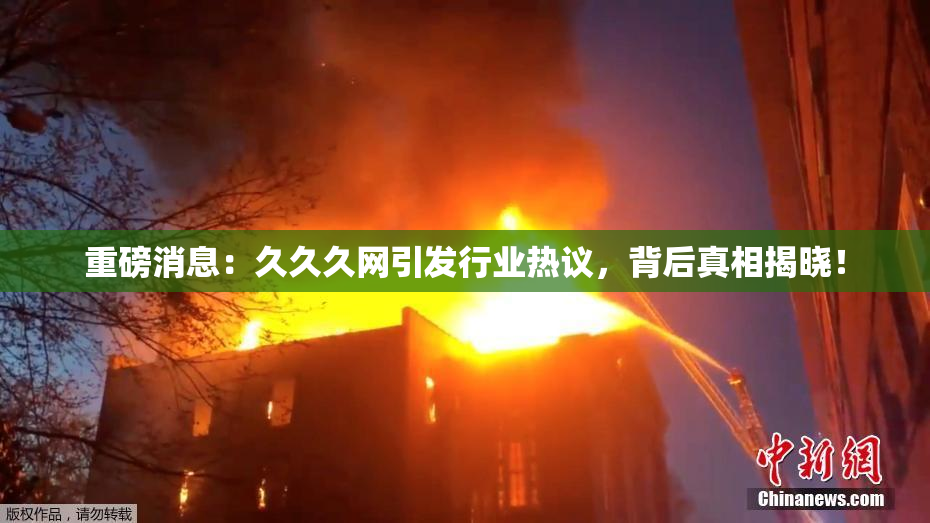 重磅消息：久久久网引发行业热议，背后真相揭晓！