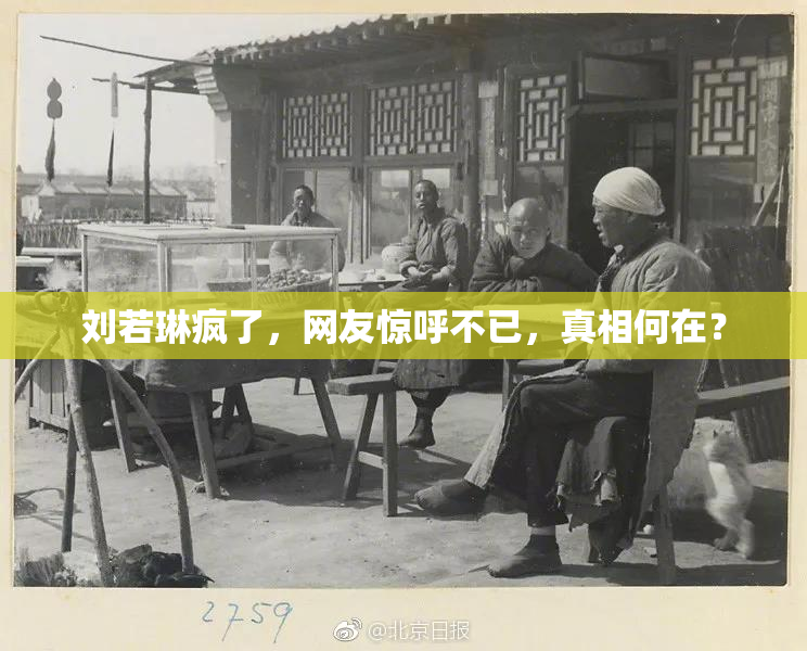 刘若琳疯了，网友惊呼不已，真相何在？