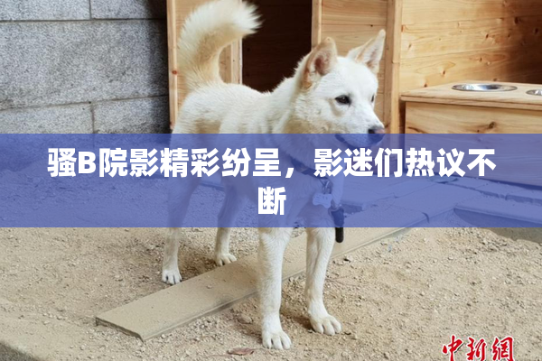 骚B院影精彩纷呈，影迷们热议不断